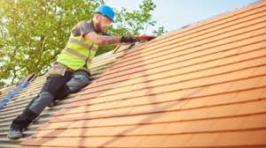 Best Roof Moss and Algae Removal  in Red Lion, PA